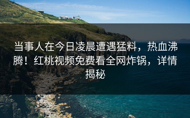 当事人在今日凌晨遭遇猛料，热血沸腾！红桃视频免费看全网炸锅，详情揭秘